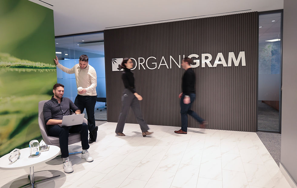 A photo of 4 employees walking along the hallways of our Toronto office, a wall with the Organigram logo is seen in the background