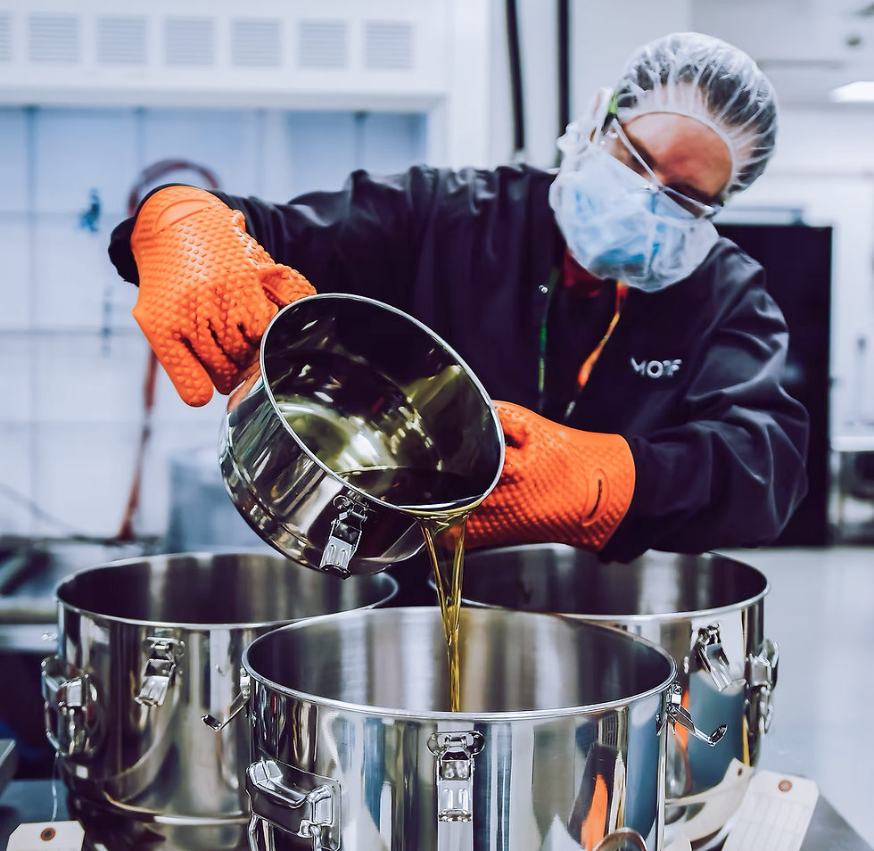 A photo of a worker at our Aylmer facility in navy coveralls pouring a vat of cannabis oil into a larger pot