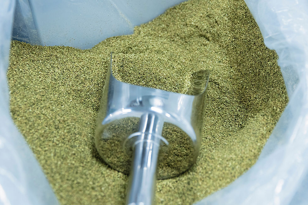 a close up image of a metal scooper in a pile of pre-milled cannabis